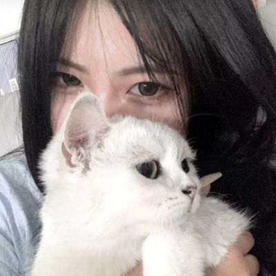 儿童丛林小医生最新版下载